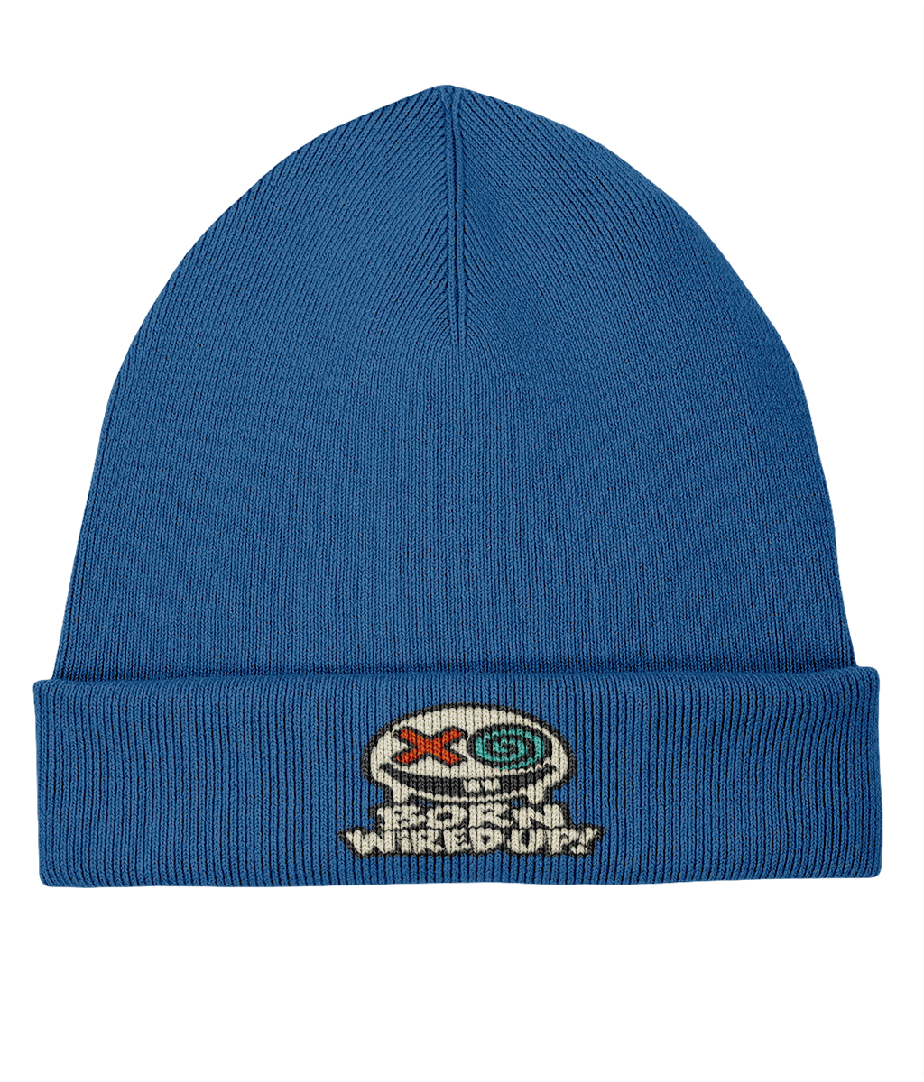 Haze Embroidered Rib Beanie — front view