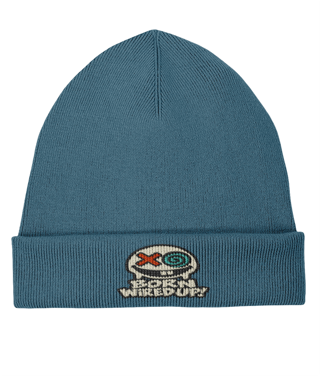Haze Embroidered Rib Beanie — front view